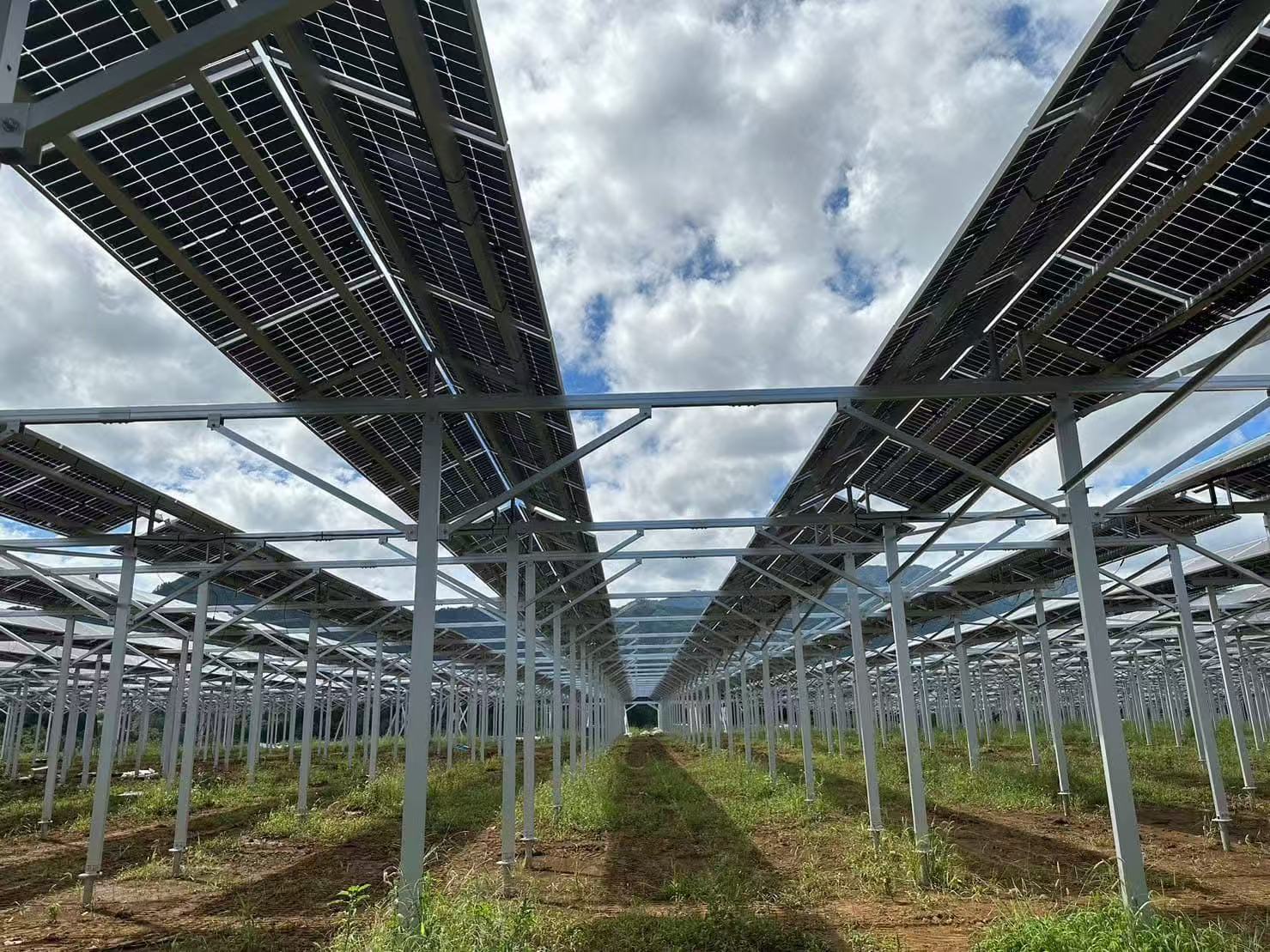 축사 지원의 장점